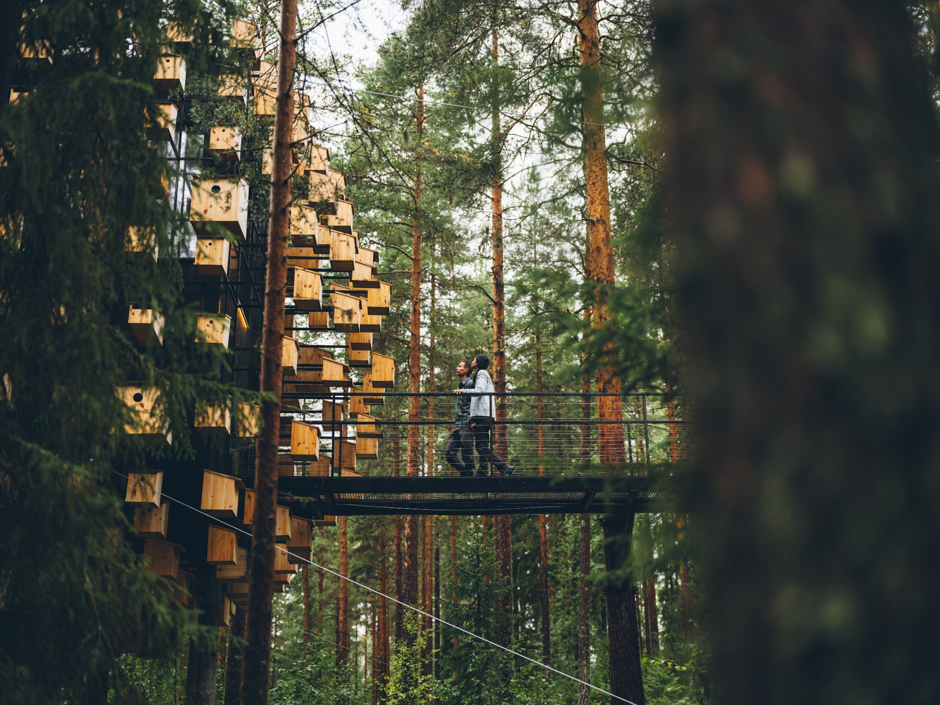 Besökare på gångbron till Bird's Nest
