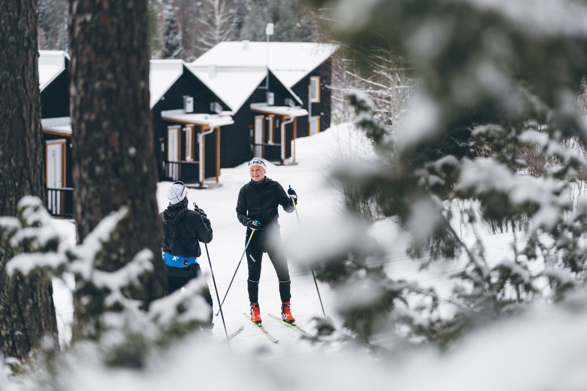 Längdskidåkare bland snötäckta tallar