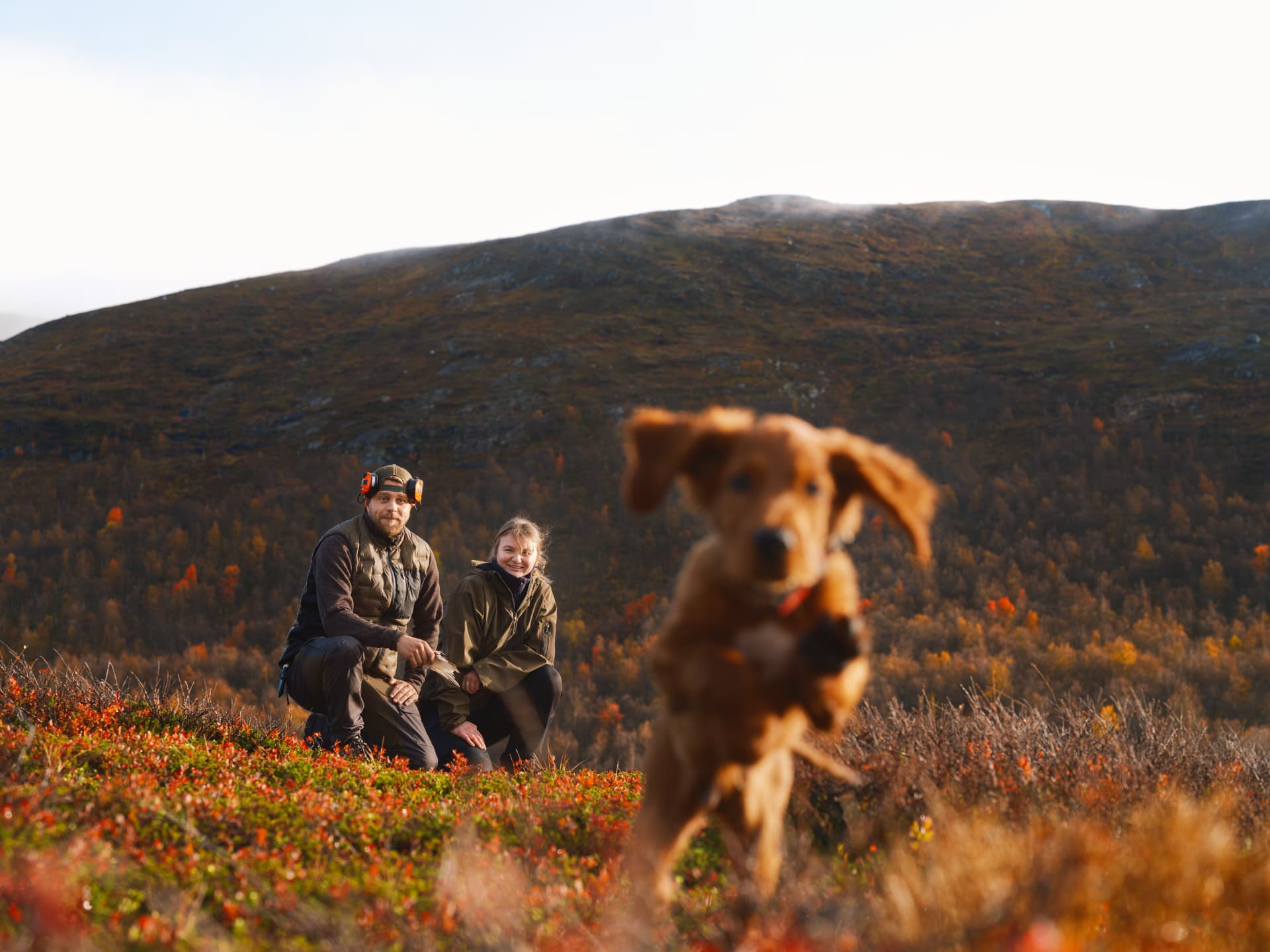 Par och springande hund i Västerbottens höstlandskap
