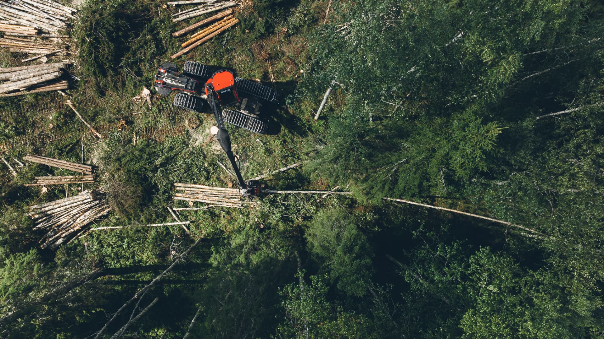 Skogsarbete fotograferat från luften i norra Sverige.